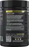 Shilajit
